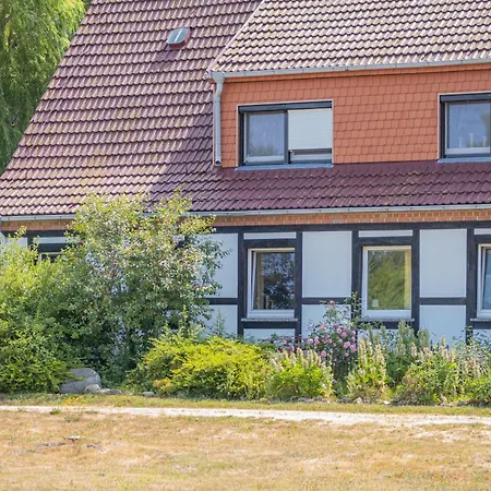 Haffgefluester Roggow